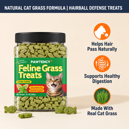 Pawtency Hairball Defense Treats — 380 g jar, cat grass + lecithin