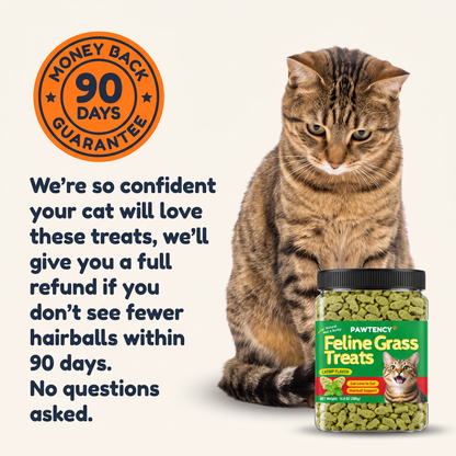 Pawtency vs other hairball brands comparison